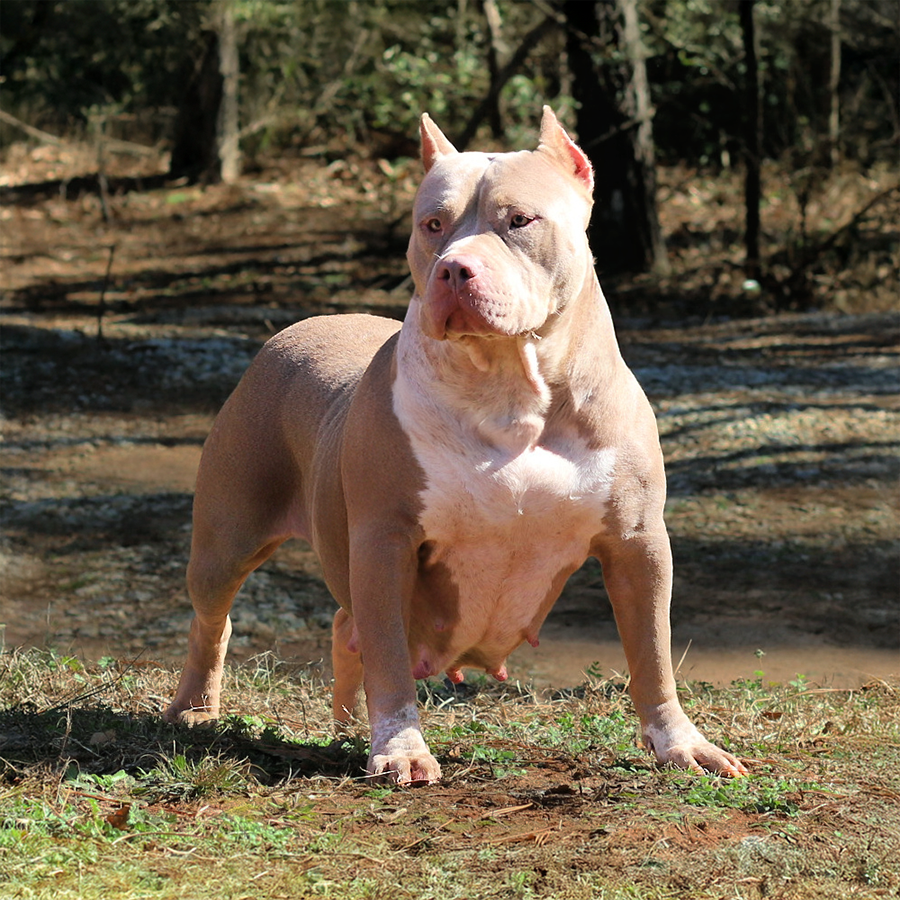 Read more about the article Crump’s Dirty Girl